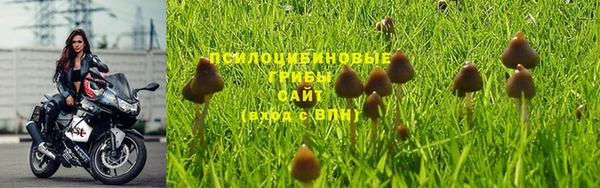 стафф Балабаново