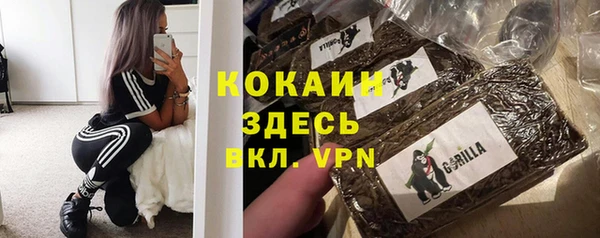 крисы Балахна