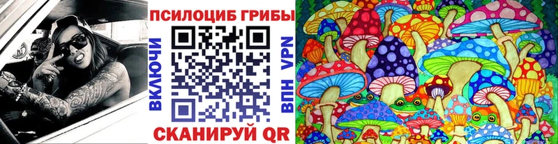 Псилоцибиновые грибы GOLDEN TEACHER OMG ссылка Весьегонск